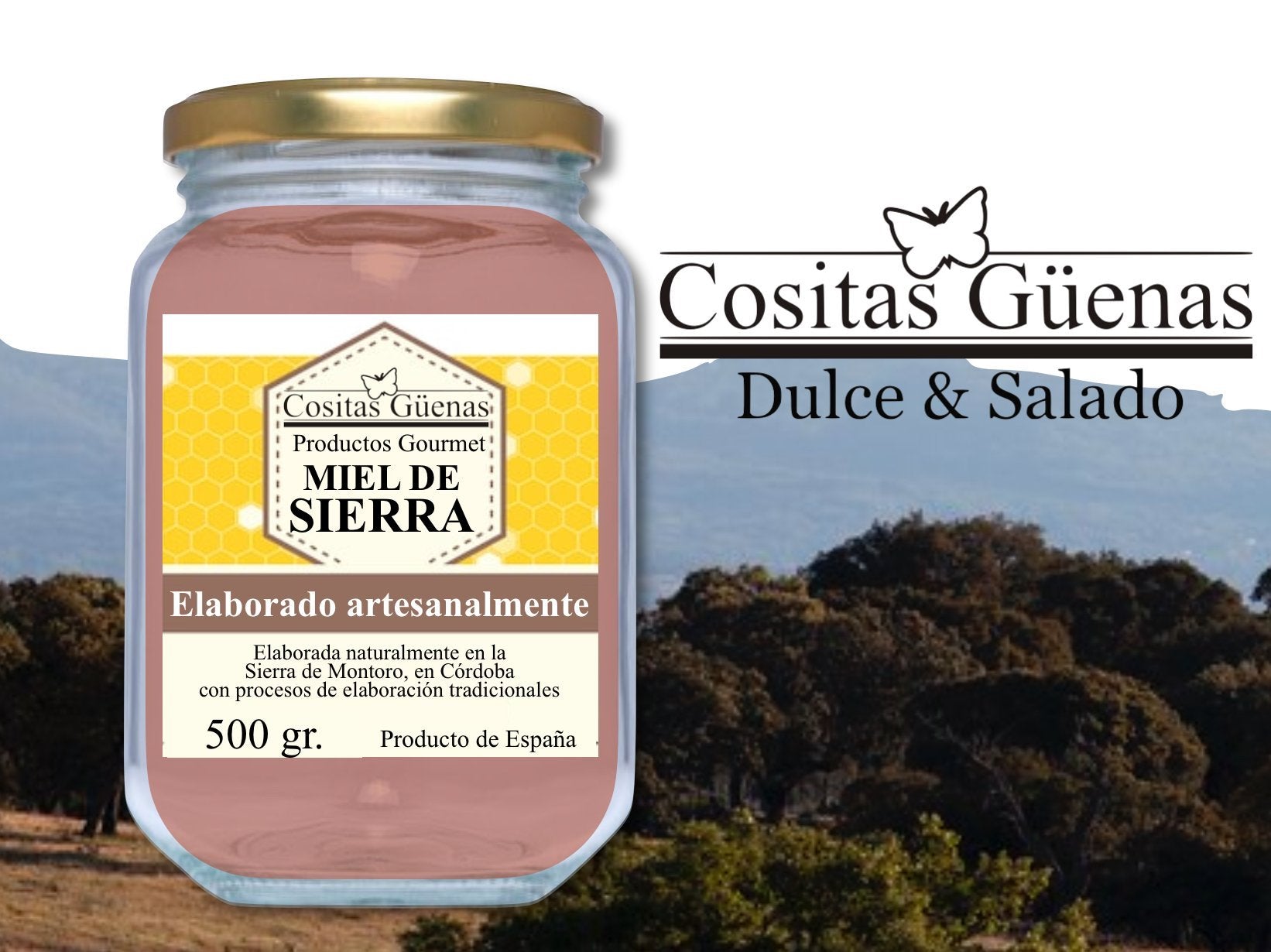 Miel de Sierra natural envase 500 gr. - Cositas Güenas
